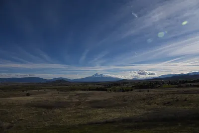 DSC_6768 (Large).JPG